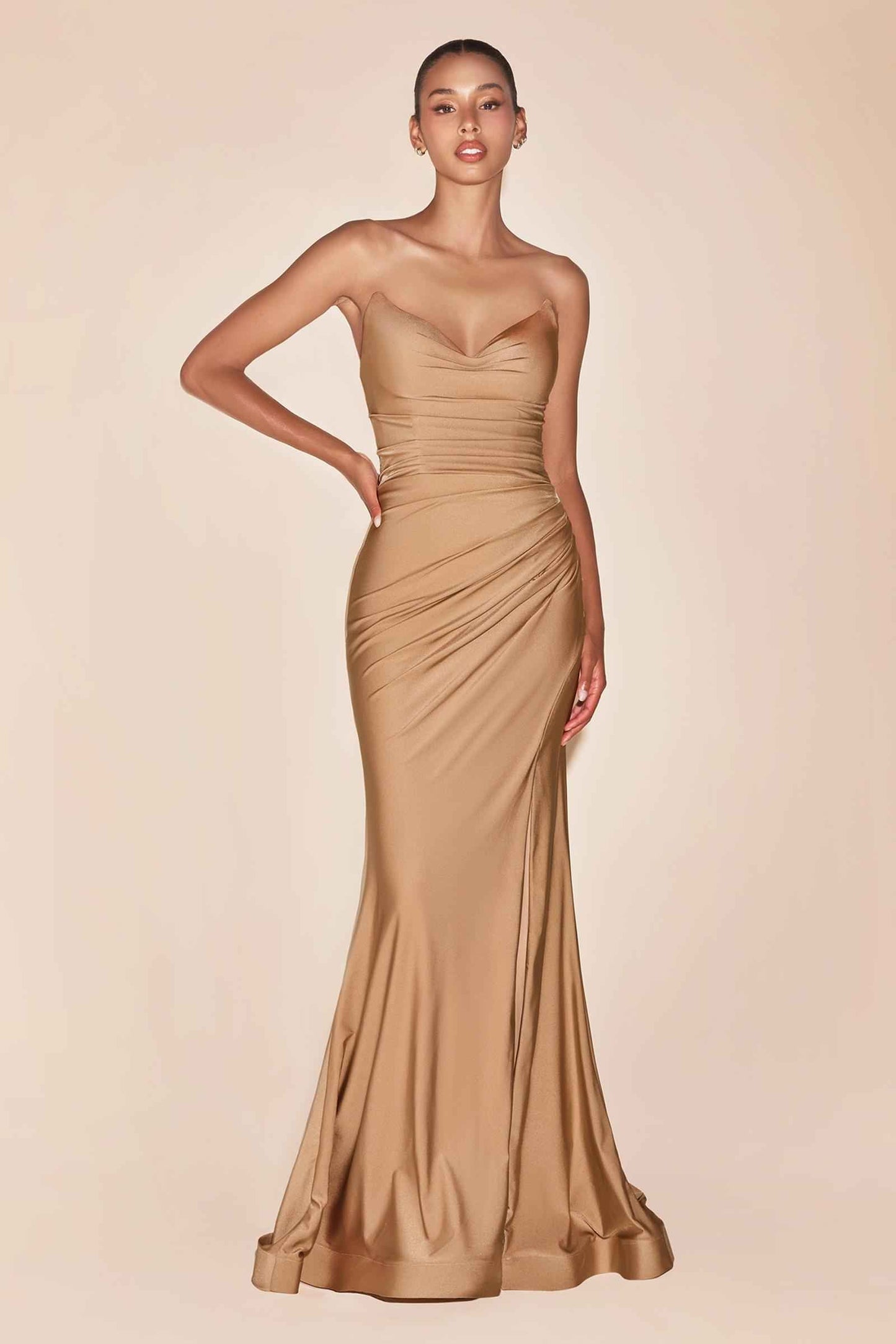 Ladivine Dress Strapless Stretch Satin Fitted Dusty Rose Gown