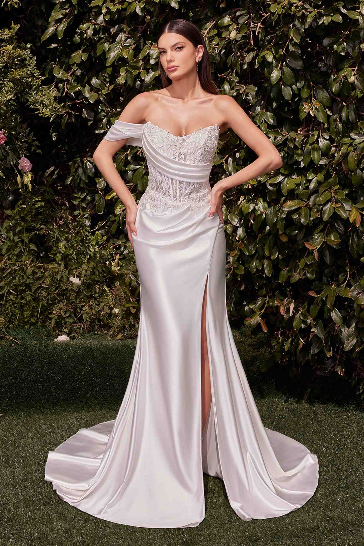 Ladivine Dress Lace Satin Fit & Flare Bridal Gown