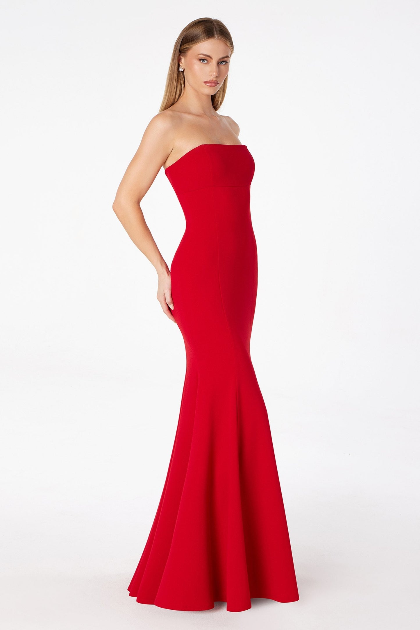 Astee Fitted Strapless Mermaid Gown