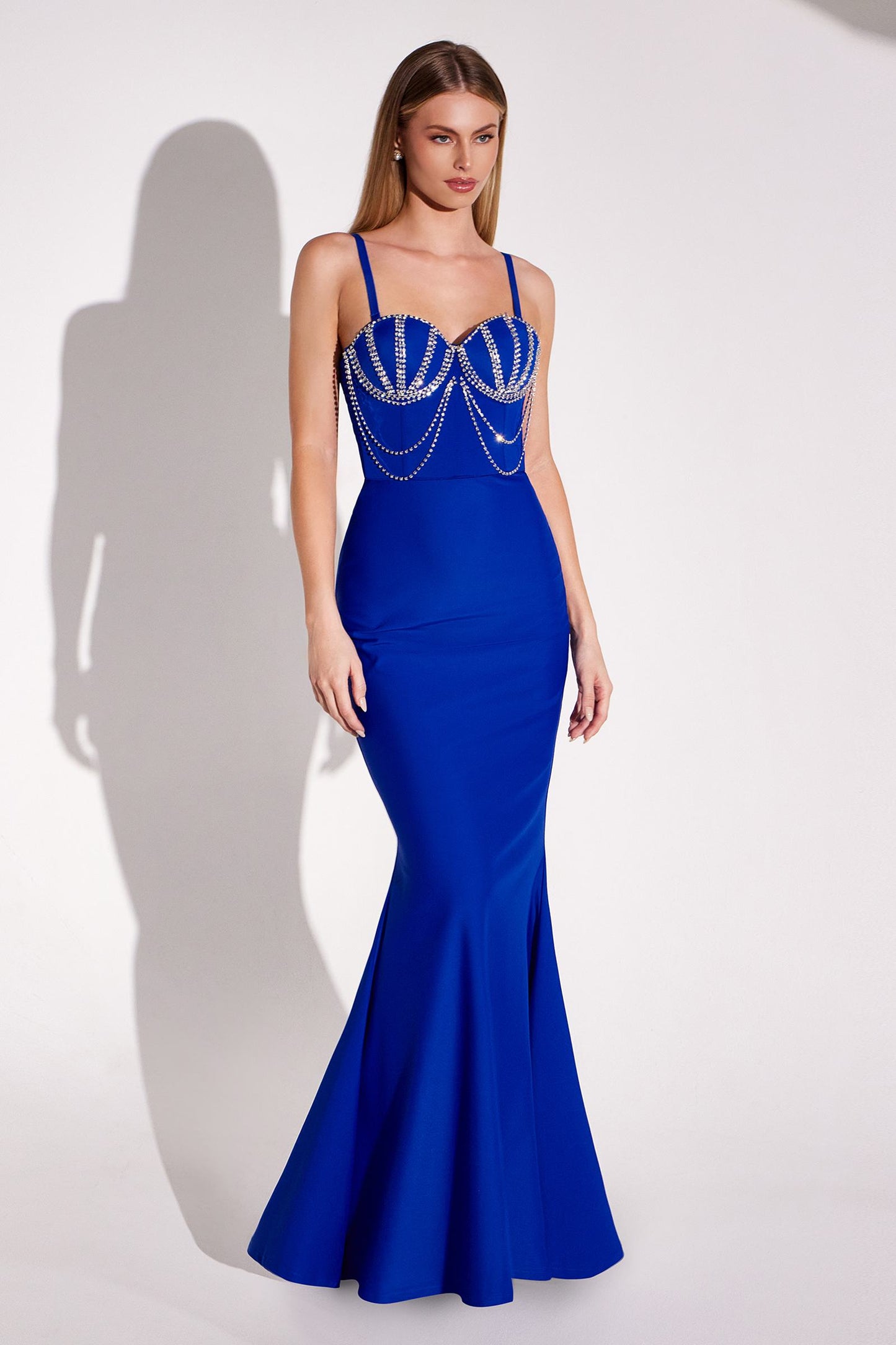 Ladivine Amoris Long Fitted Sweetheart Neck Evening Gown